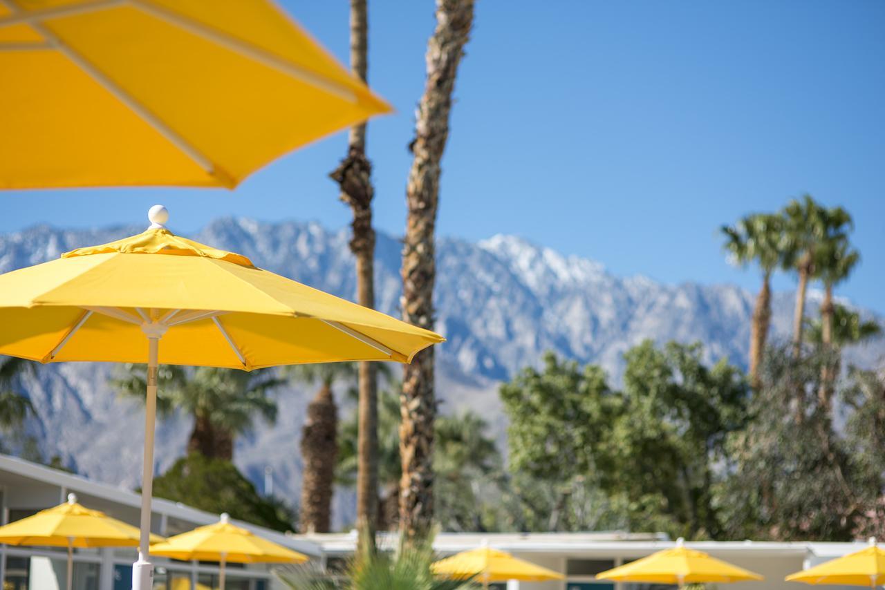 The Monkey Tree Hotel Palm Springs Luaran gambar